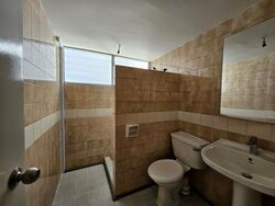 Dunearn Road (D11), Condominium #459823291